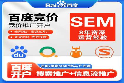 SEM推广优化实战：案例分析与启示